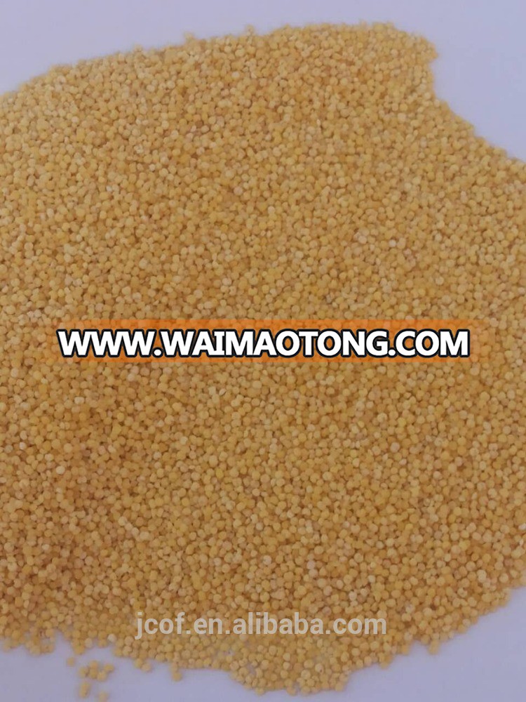 Chinese millet, yellow millet, good quality millet, panicum millet, glutinous or non-glutinous millet(794)